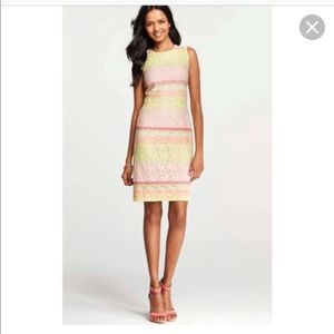 Ann Taylor Pink Lace Horizon dress
